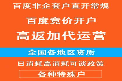 百度竞价代运营公司成功案例：从零到一的营销奇迹